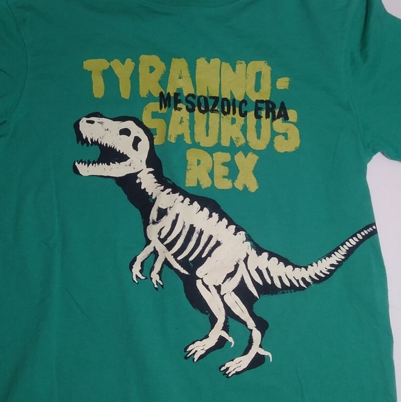 Lands End Boys M 10/12 T-rex Dinosaur Shirt - Picture 4 of 5